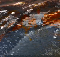 One Day Litchfield Park Adventures - Mackay Tourism