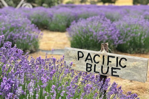 Kangaroo Island Food And Wine Hop-on Hop-off Tour - Mackay Tourism 4