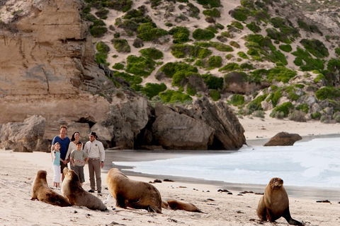 Kangaroo Island Scenic Trail Tour - Mackay Tourism 5