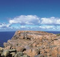 4 Day Tour Albany Margaret River Valley of the Giants TreeTop Walk from Perth - Mackay Tourism