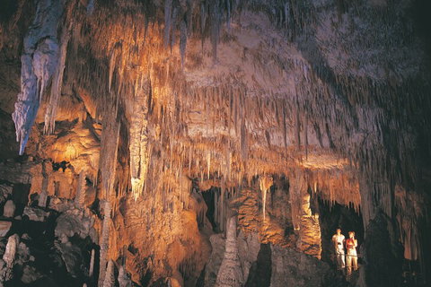4 Day Tour: Albany, Margaret River, Valley Of The Giants TreeTop Walk From Perth - Mackay Tourism 1