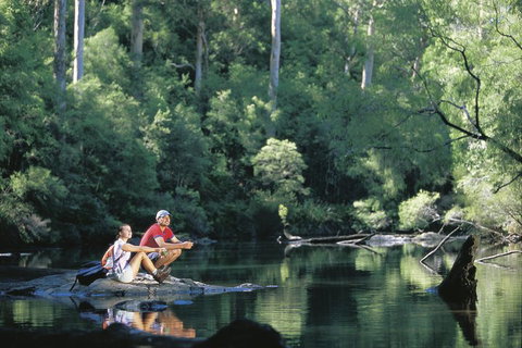4 Day Tour: Albany, Margaret River, Valley Of The Giants TreeTop Walk From Perth - Mackay Tourism 3
