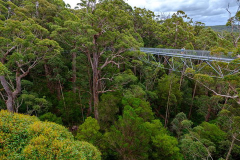 4 Day Tour: Albany, Margaret River, Valley Of The Giants TreeTop Walk From Perth - Mackay Tourism 4