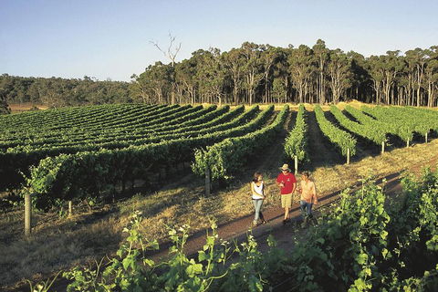Margaret River, Caves, Wine And Cape Leeuwin Lighthouse Tour From Perth - Mackay Tourism 1