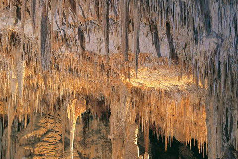 Margaret River, Caves, Wine And Cape Leeuwin Lighthouse Tour From Perth - Mackay Tourism 3