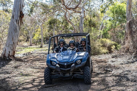 Small-Group Buggy Tour At Little Sahara With Guide - Mackay Tourism 0