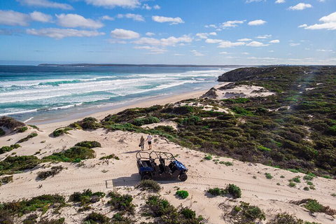 Small-Group Buggy Tour At Little Sahara With Guide - Mackay Tourism 1