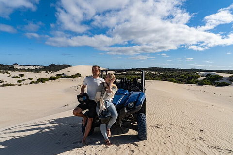 Small-Group Buggy Tour At Little Sahara With Guide - Mackay Tourism 2