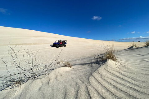 Small-Group Buggy Tour At Little Sahara With Guide - Mackay Tourism 3