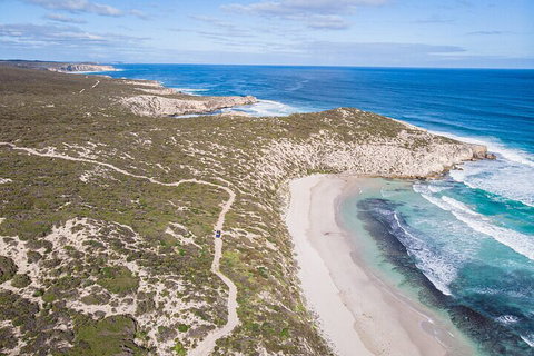 Small-Group Buggy Tour At Little Sahara With Guide - Mackay Tourism 4