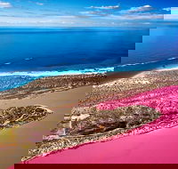 Pink Lake Small-Group Buggy Tour - Mackay Tourism