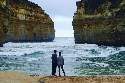 Great Ocean Road Small-Group Ecotour From Melbourne - Mackay Tourism 1