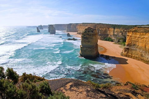 Great Ocean Road Small-Group Ecotour From Melbourne - Mackay Tourism 2