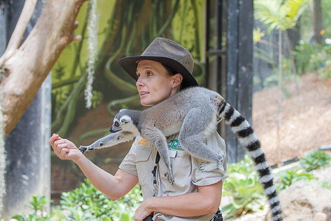 Currumbin Wildlife Sanctuary General Entry Ticket - Mackay Tourism 1