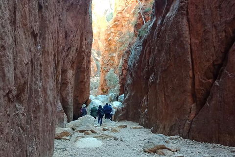 West MacDonnell Private Tour With Transfer - Mackay Tourism 0