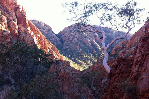 West MacDonnell Private Tour With Transfer - Mackay Tourism 3