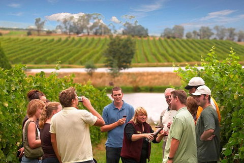 Yarra Valley Wine And Winery Tour From Melbourne - Mackay Tourism 0