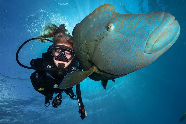  Mackay Tourism
