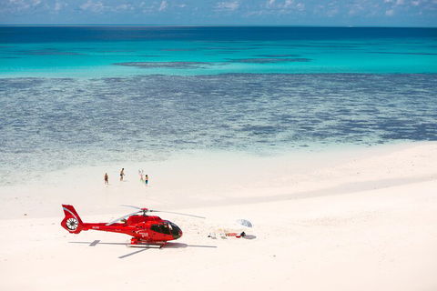Private Helicopter Tour: Reef Island Snorkeling And Gourmet Picnic Lunch - Mackay Tourism 2