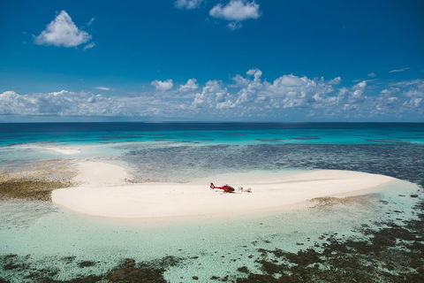 Private Helicopter Tour: Reef Island Snorkeling And Gourmet Picnic Lunch - Mackay Tourism 4
