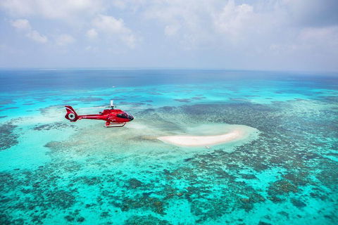 Private Helicopter Tour: Reef Island Snorkeling And Gourmet Picnic Lunch - Mackay Tourism 5