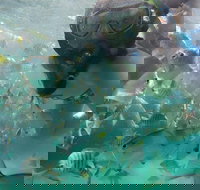 2-Day Moreton Island 4WD Camping Tour from Brisbane - Mackay Tourism