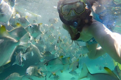 2-Day Moreton Island 4WD Camping Tour From Brisbane - Mackay Tourism 0