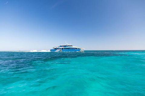 Rottnest Island Bike & Ferry Package From Fremantle - Mackay Tourism 0