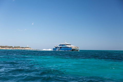 Rottnest Island Bike & Ferry Package From Perth - Mackay Tourism 2