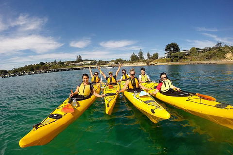 Mornington Peninsula Kayak Coastline Tour Of Dolphin Sanctuary - Mackay Tourism 2