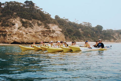 Mornington Peninsula Kayak Coastline Tour Of Dolphin Sanctuary - Mackay Tourism 4