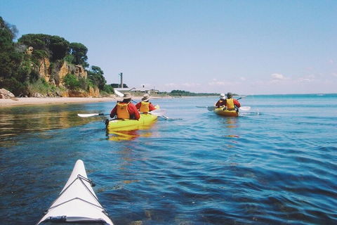 Mornington Peninsula Kayak Coastline Tour Of Dolphin Sanctuary - Mackay Tourism 5