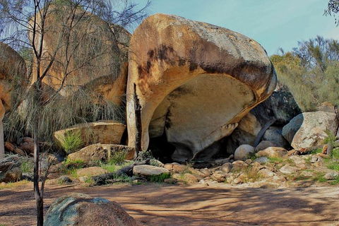 Wave Rock & Rottnest Island - Air & Ground Tour - Mackay Tourism 4