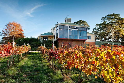 Adelaide Hills Food, Wine, Cheese, & Chocolate - Private Day Tour - Mackay Tourism 3