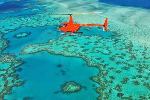 Reef & Whitehaven Landing - Mackay Tourism 4