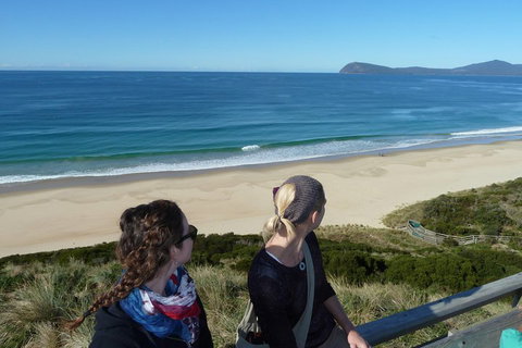 Small-Group Day Trip From Hobart To Bruny Island - Mackay Tourism 3