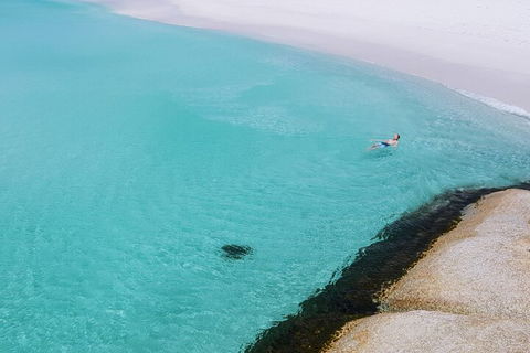 2-Day Tas East Coast Escape Tour Including Bay Of Fires, Wineglass Bay & Devils - Mackay Tourism 5