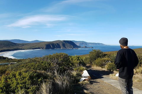 4-Day Fabulous Tasmania Tour: Wineglass Bay, Port Arthur, Devils & Bruny Island - Mackay Tourism 0
