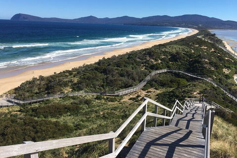 4-Day Fabulous Tasmania Tour: Wineglass Bay, Port Arthur, Devils & Bruny Island - Mackay Tourism 5
