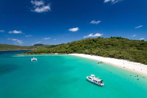 Whitehaven Beach And Hill Inlet | Awesome Beach BBQ | Family Friendly - Mackay Tourism 3