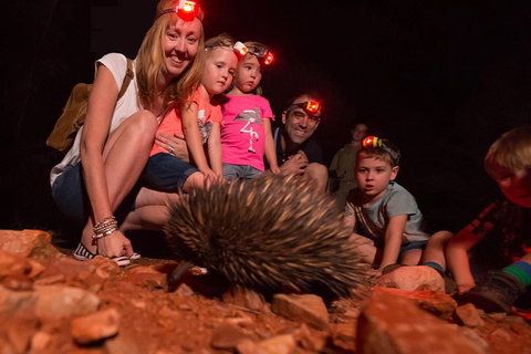 Alice Springs Desert Park Nocturnal Tour - Mackay Tourism 5