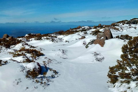 Mount Wellington Ultimate Experience Tour From Hobart - Mackay Tourism 1