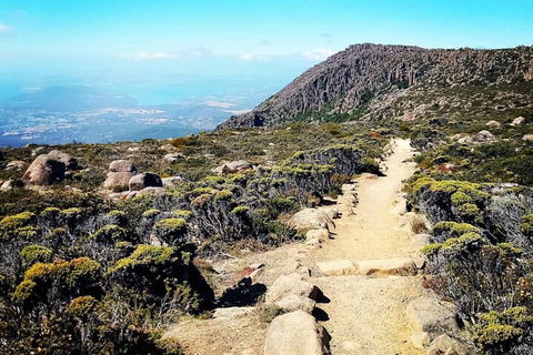 Mount Wellington Ultimate Experience Tour From Hobart - Mackay Tourism 5