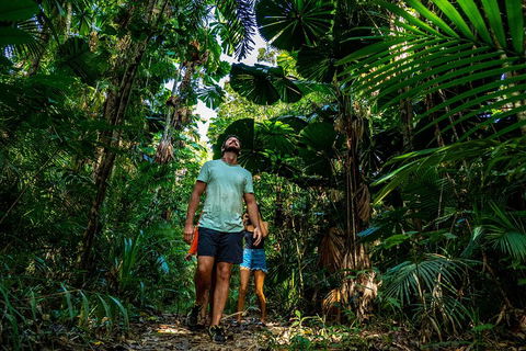 Full Day Daintree Rainforest And Mossman Gorge Tour - Mackay Tourism 0