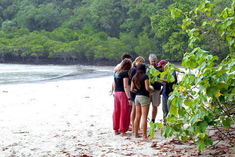 Full Day Daintree Rainforest And Mossman Gorge Tour - Mackay Tourism 2