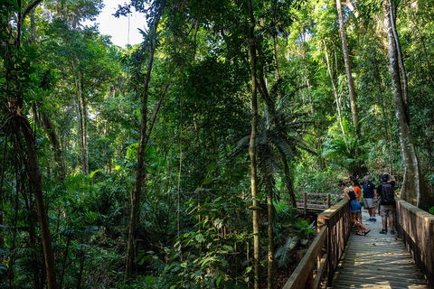 Full Day Daintree Rainforest And Mossman Gorge Tour - Mackay Tourism 5