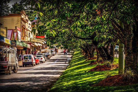 Fully Inclusive Blue Mountains Private Tour Inc Scenic World & Featherdale Entry - Mackay Tourism 0
