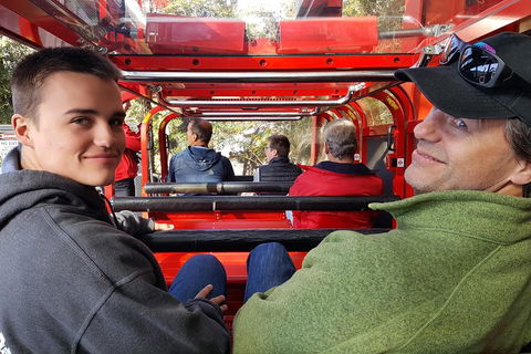 Fully Inclusive Blue Mountains Private Tour Inc Scenic World & Featherdale Entry - Mackay Tourism 1