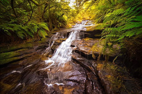 Fully Inclusive Blue Mountains Private Tour Inc Scenic World & Featherdale Entry - Mackay Tourism 3
