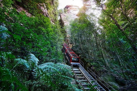 Fully Inclusive Blue Mountains Private Tour Inc Scenic World & Featherdale Entry - Mackay Tourism 4